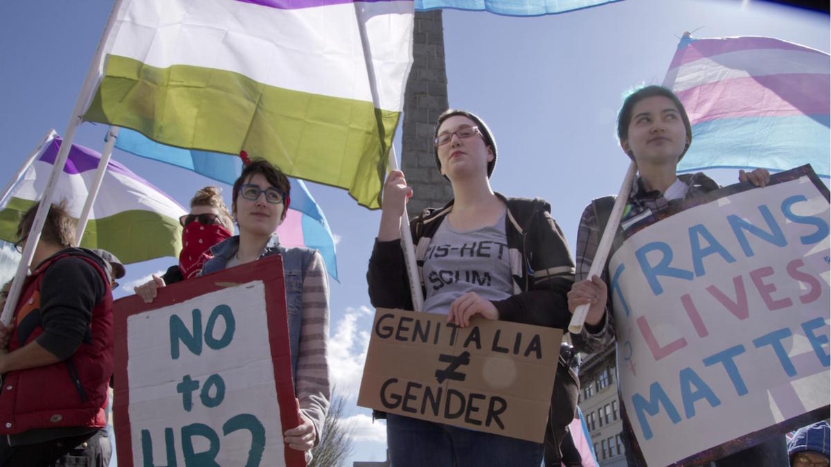 New Zealand transgender seek medical care